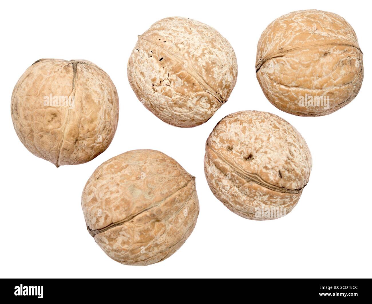 Walnuts on white Stock Photo