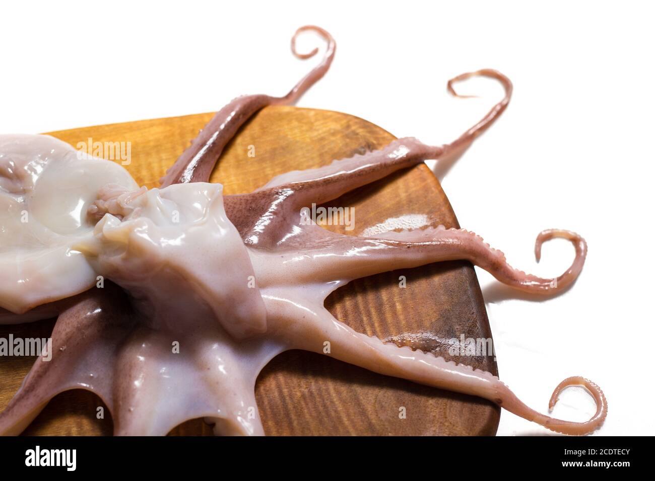 Octopus on isolated white background Stock Photo - Alamy