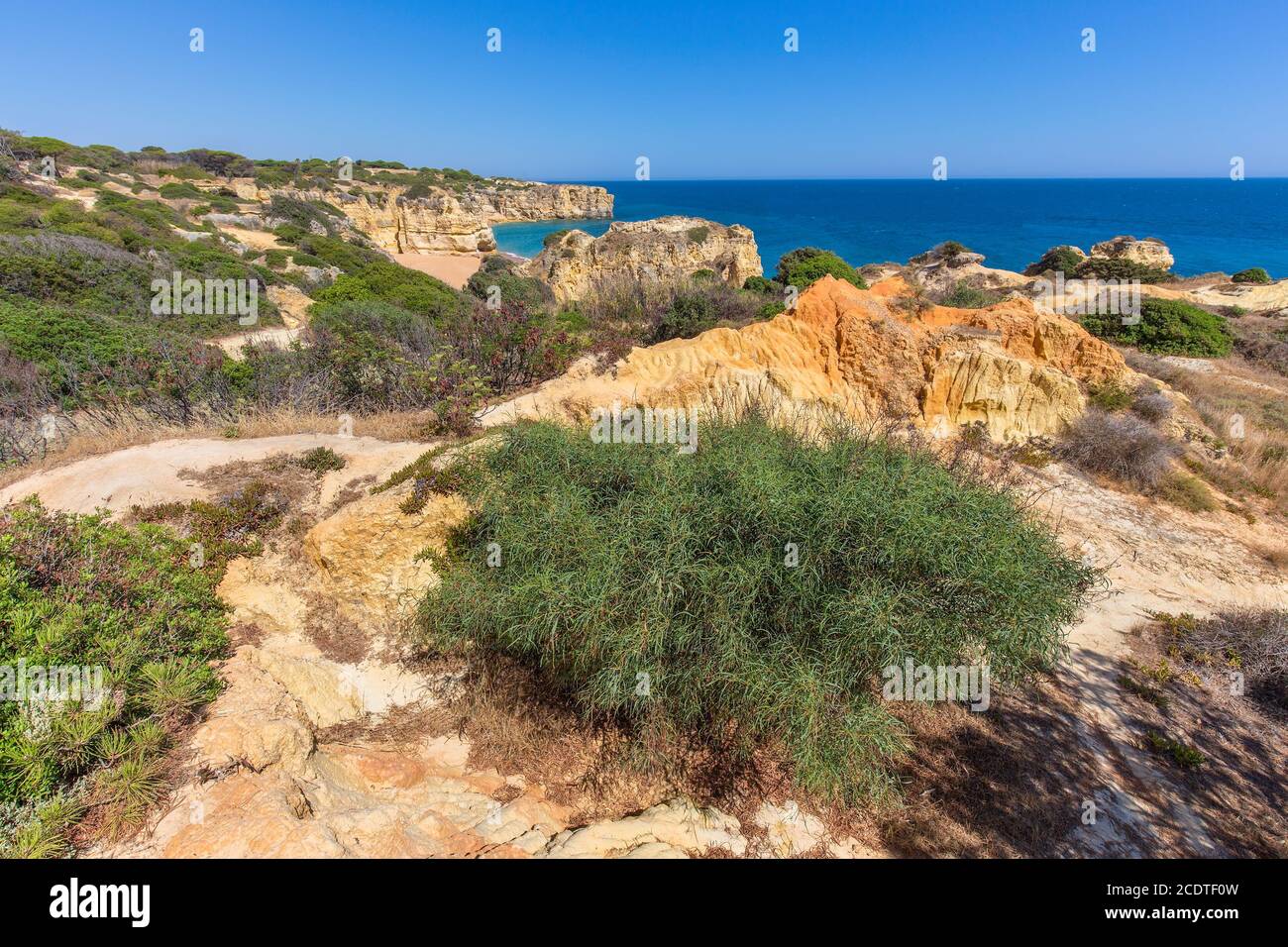 Rocky mountains and plants at portuguese coast Stock Photo