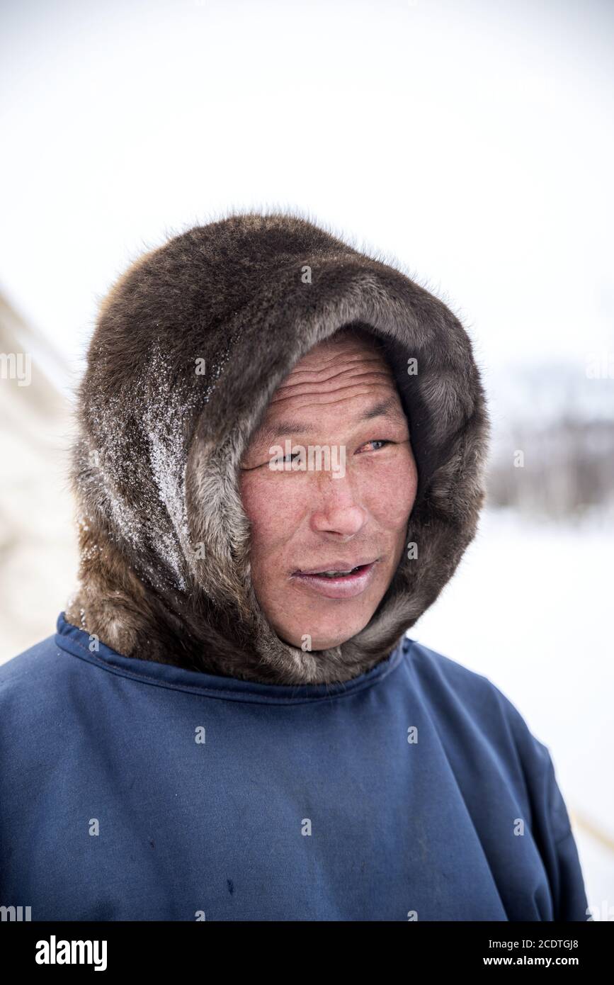 nenet The Nenets of Siberia - Survival International