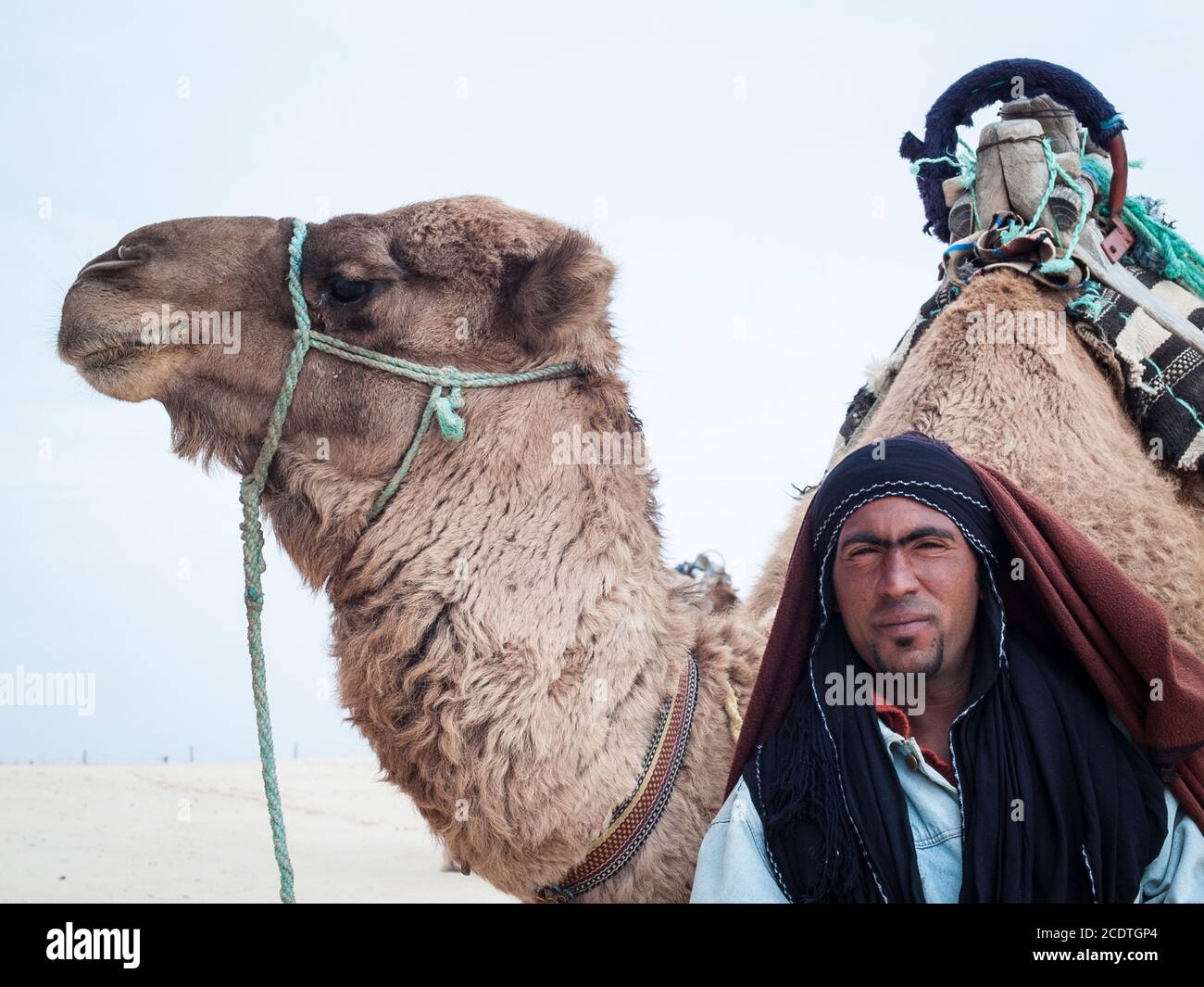 Douz, Tunisia, portrait of the camel and his camel driver Stock Photo