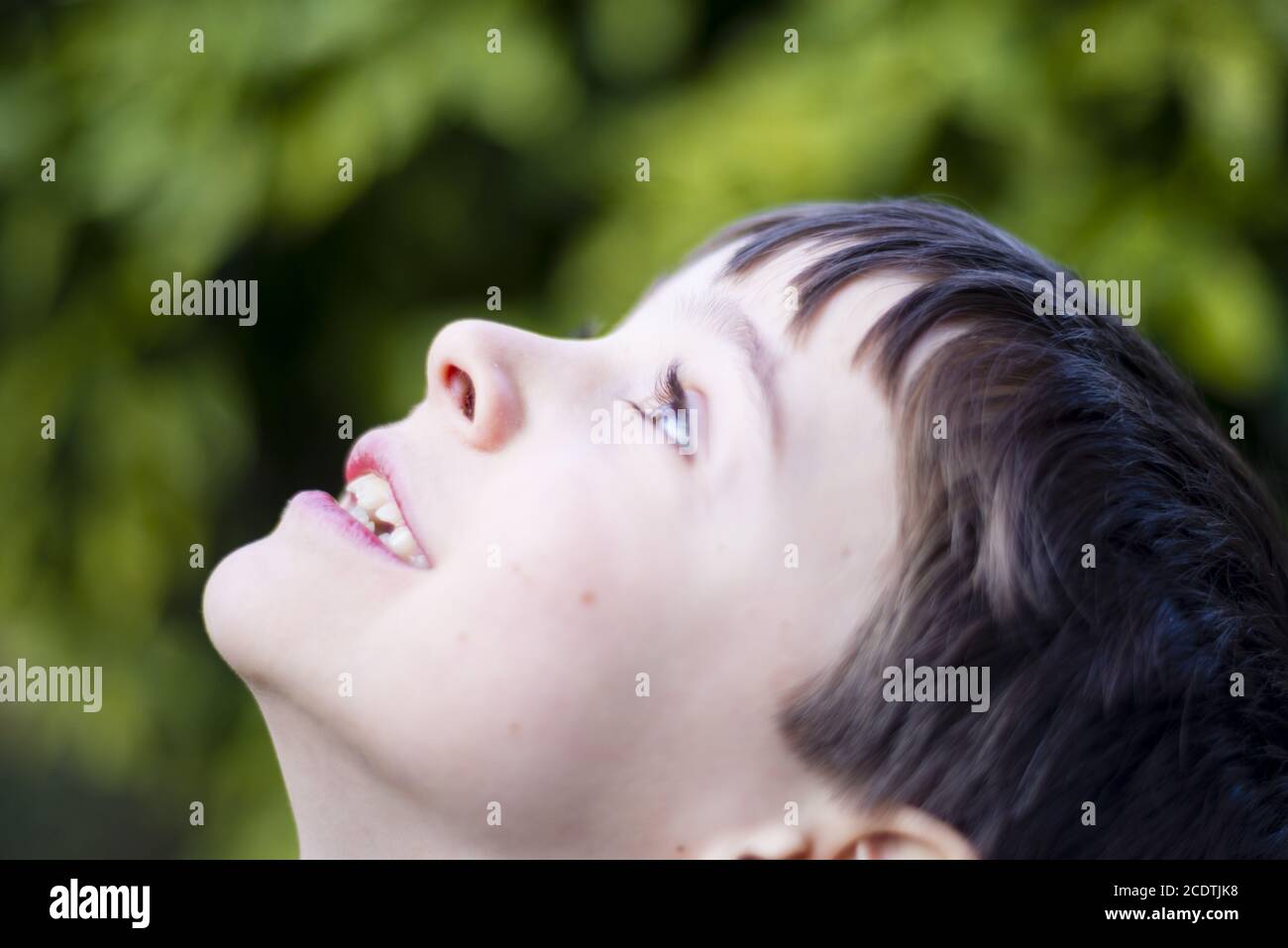 portrait of 7 year old boy outdoor in the garden in winter Stock Photo