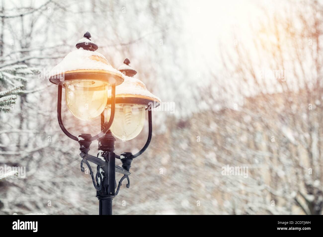 Beautiful winter background with trees cover snow and street light ...