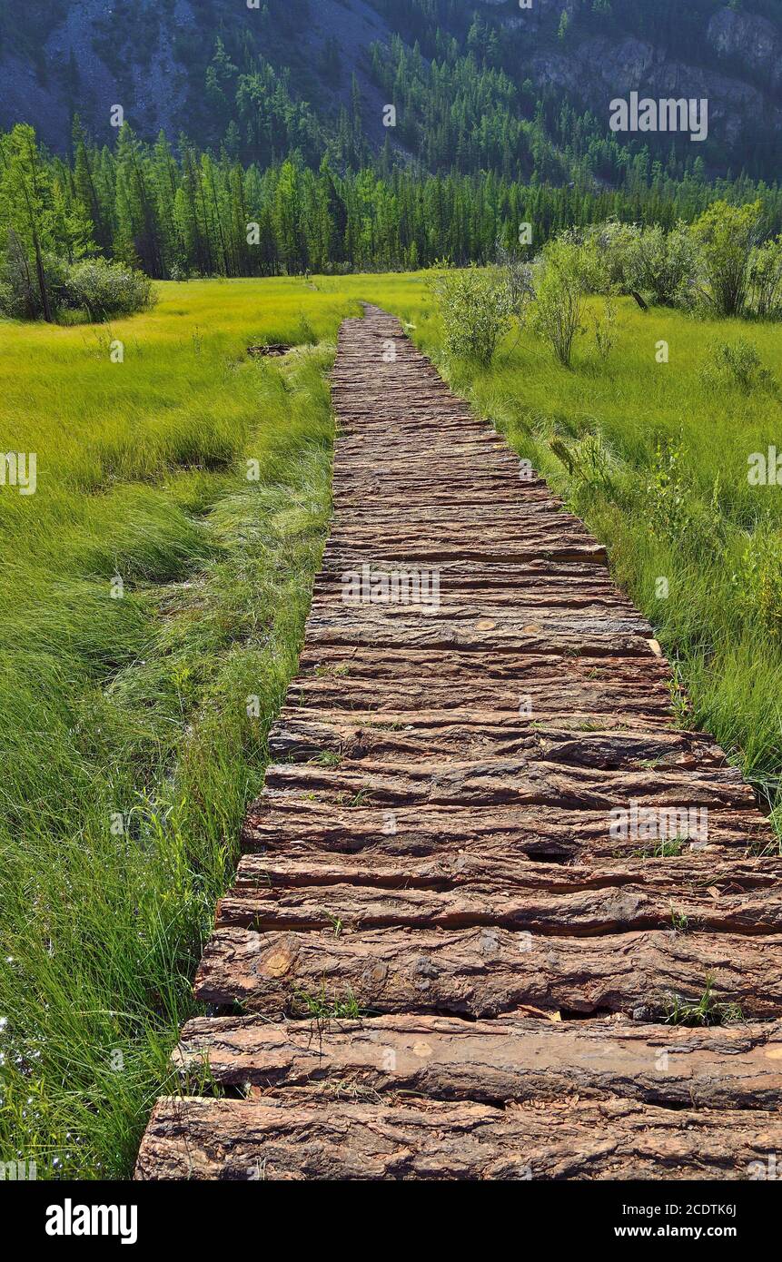 Wooden walkway through the mountainous swampy valley Stock Photo
