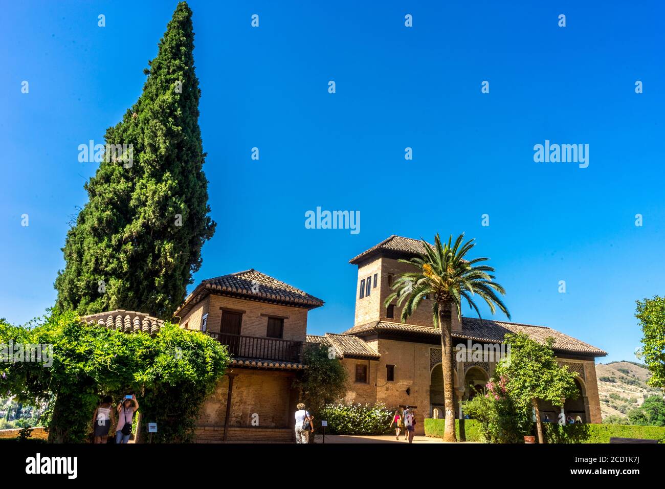 El Partal. A large tree stands next to the Tower of the Ladies, inside the Alhambra of Granada, Andalusia, Spain, Europe Stock Photo