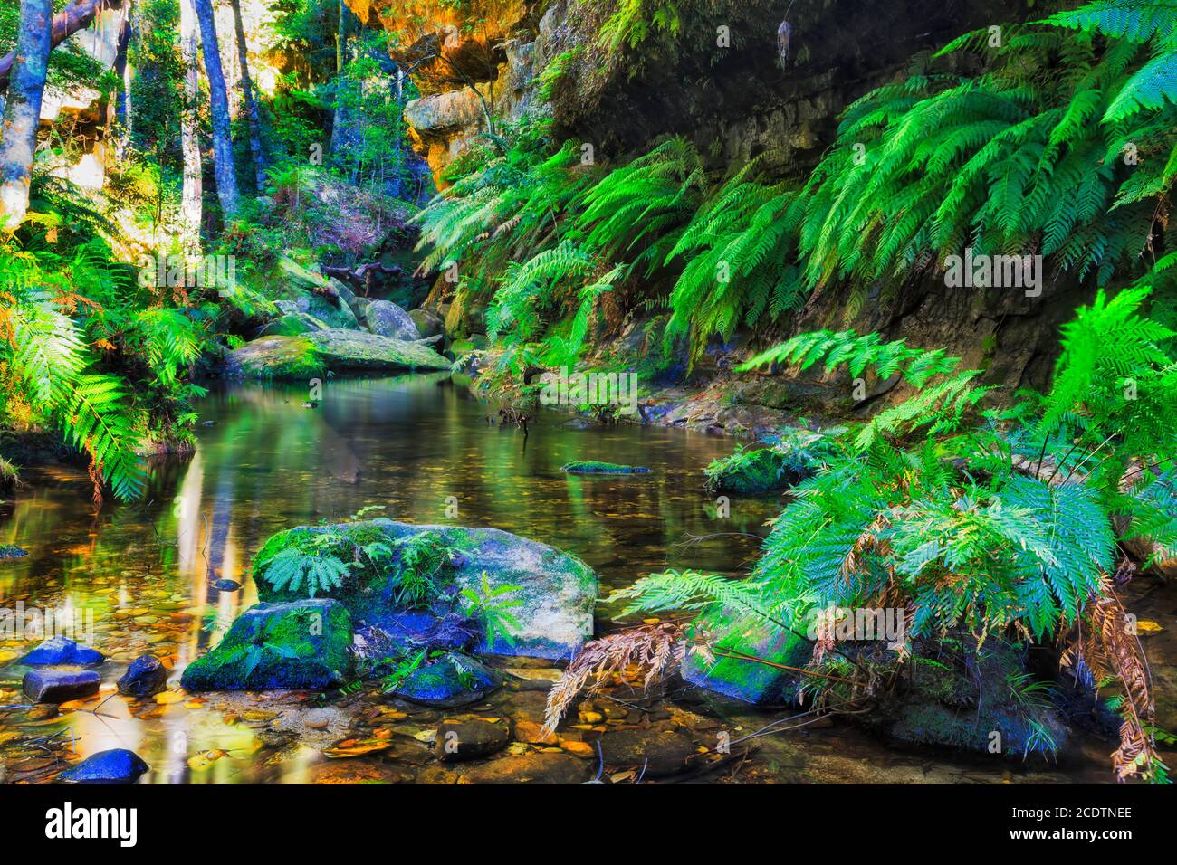 Fresh water billabong in Australian outback - the Grand Canyon walking track of BLue Mountains. Stock Photo