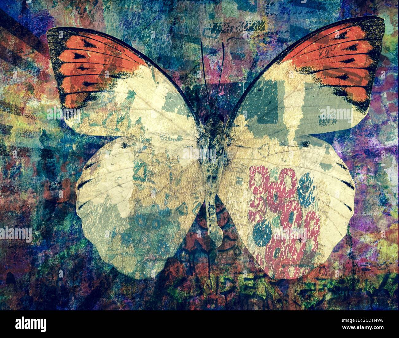 grunge Butterfly background texture Stock Photo Alamy