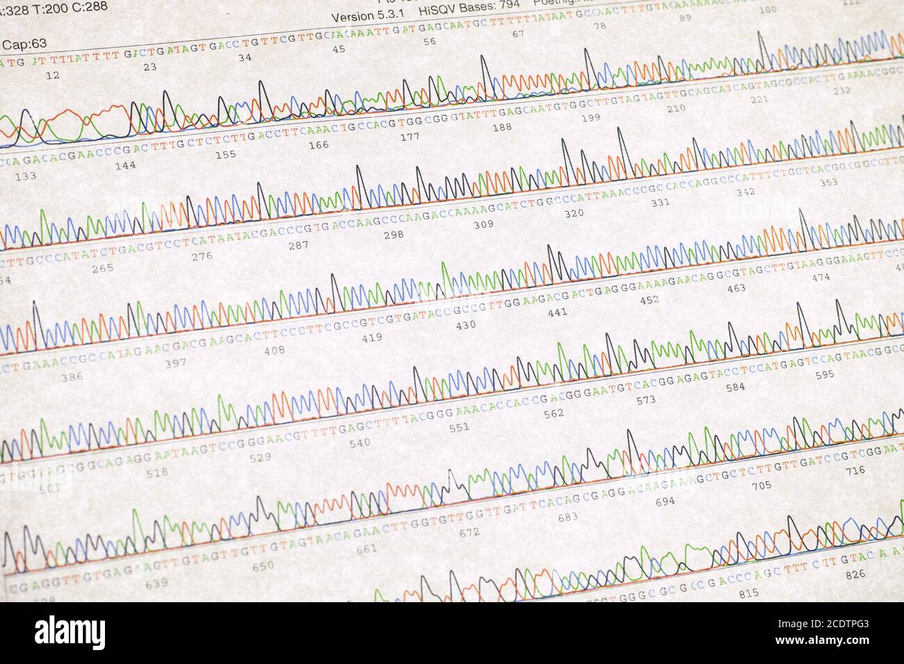 DNA sequencing results print Stock Photo