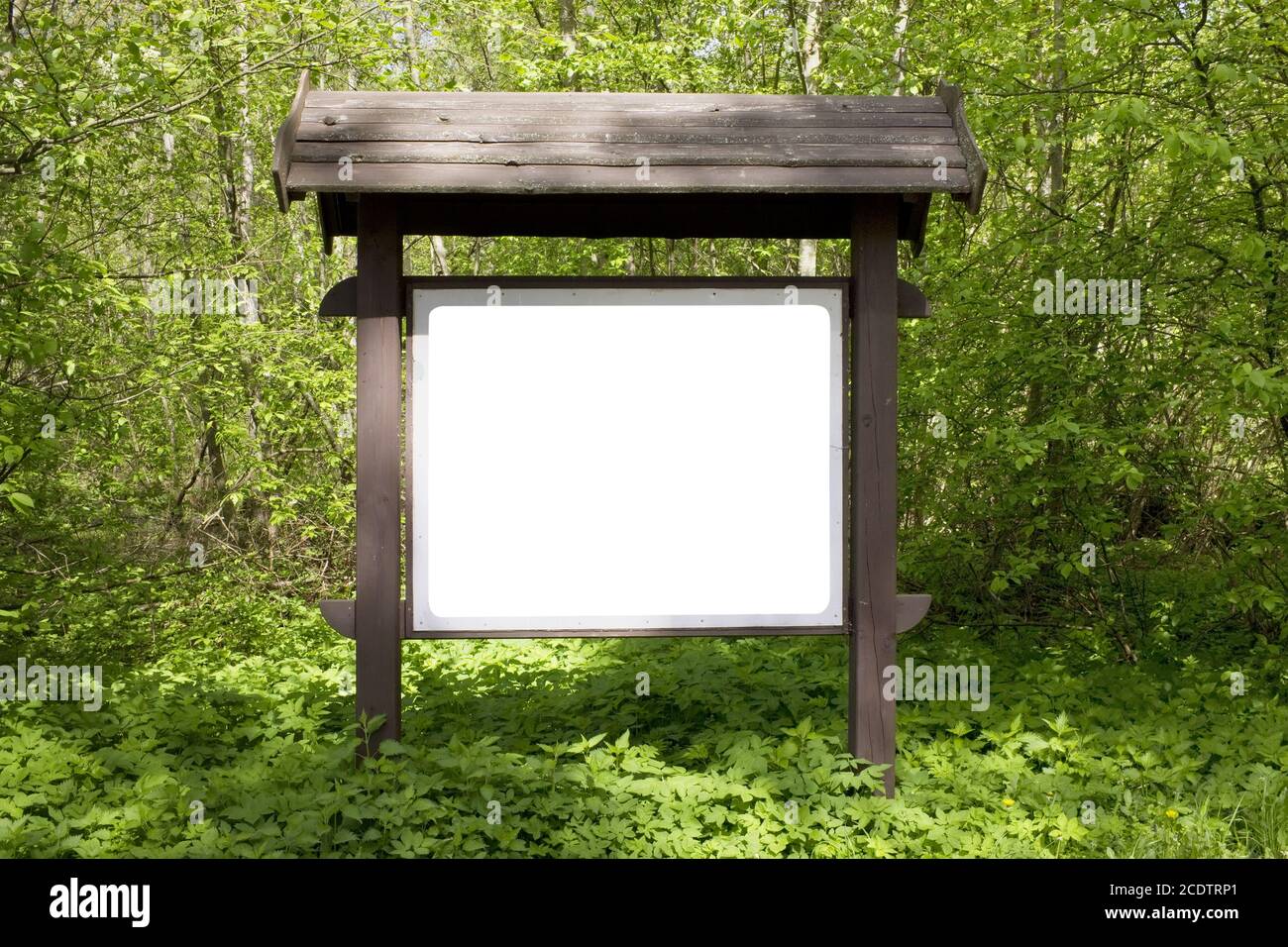 on the spring forest  glade there is a wooden billboard with information Stock Photo