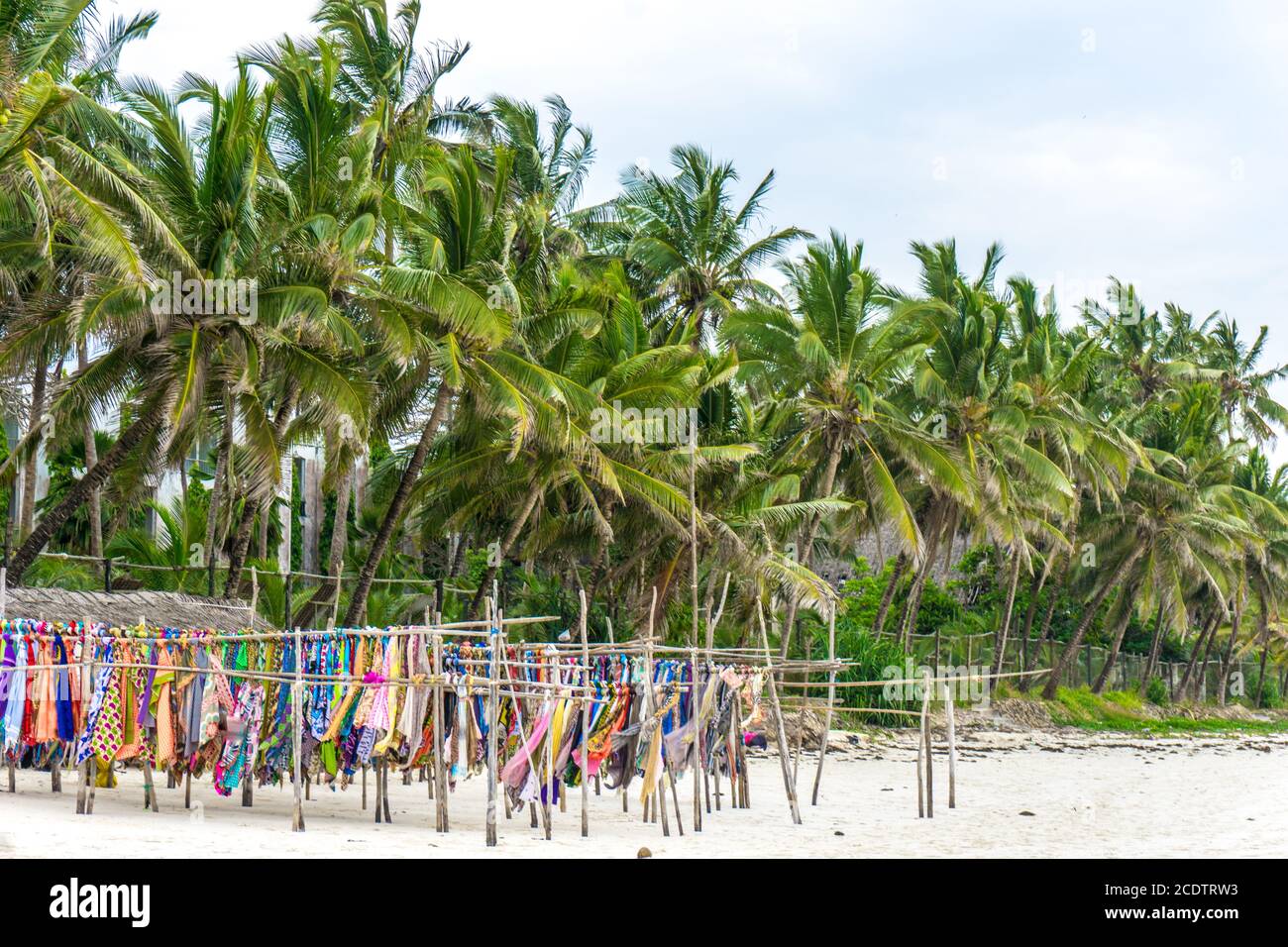Palmtrees at the beach of Mombasa Stock Photo