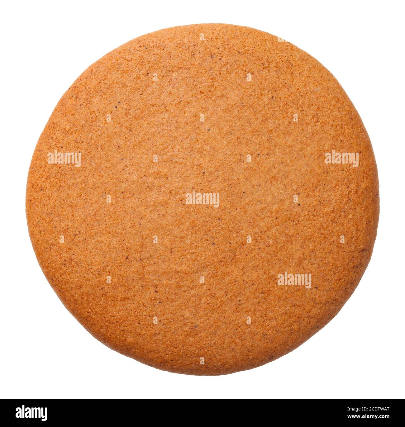 Gingerbread Round Cookie Isolated on White Background Stock Photo - Alamy
