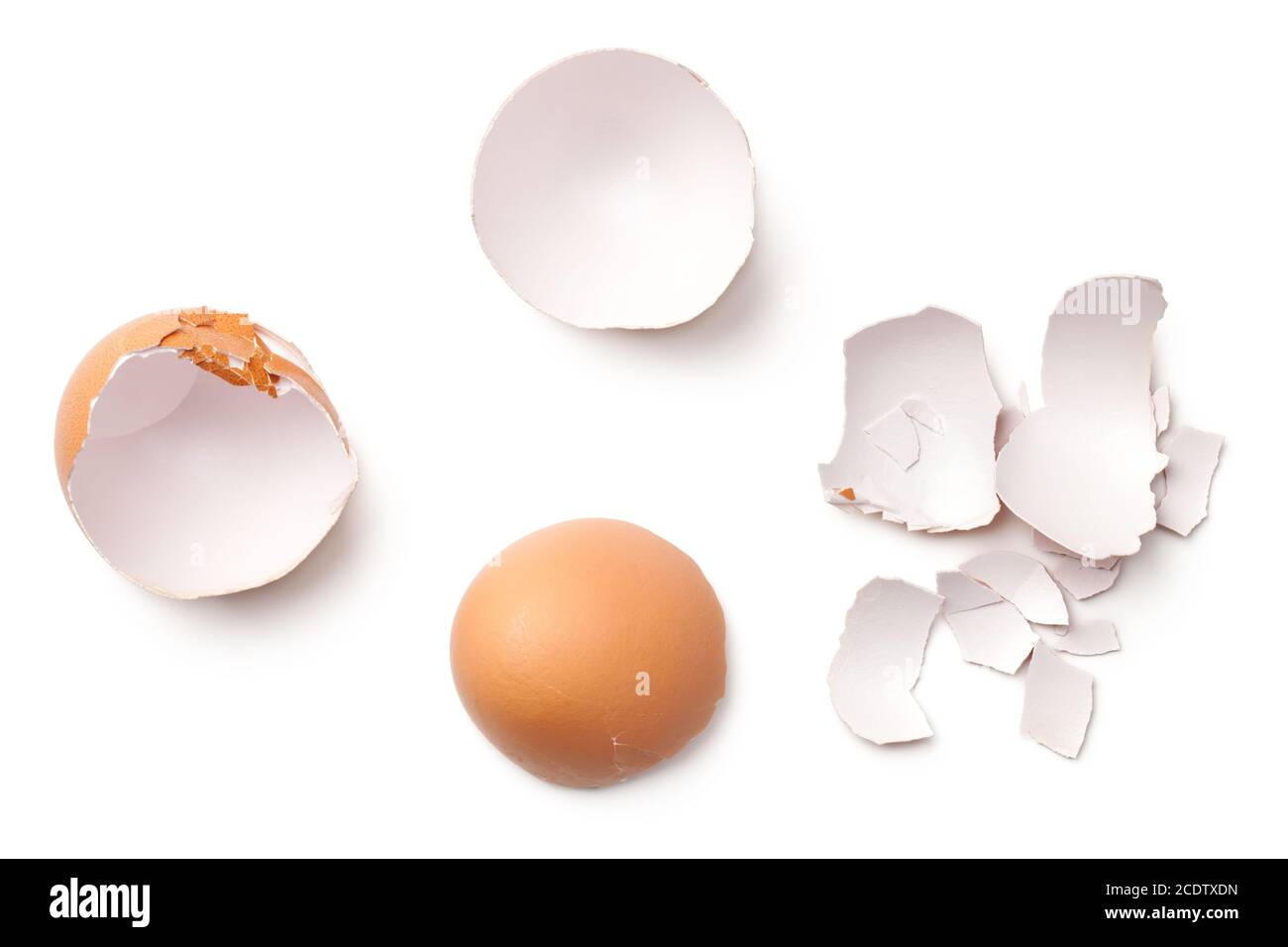 Egg Shell Isolated on White Background Stock Photo