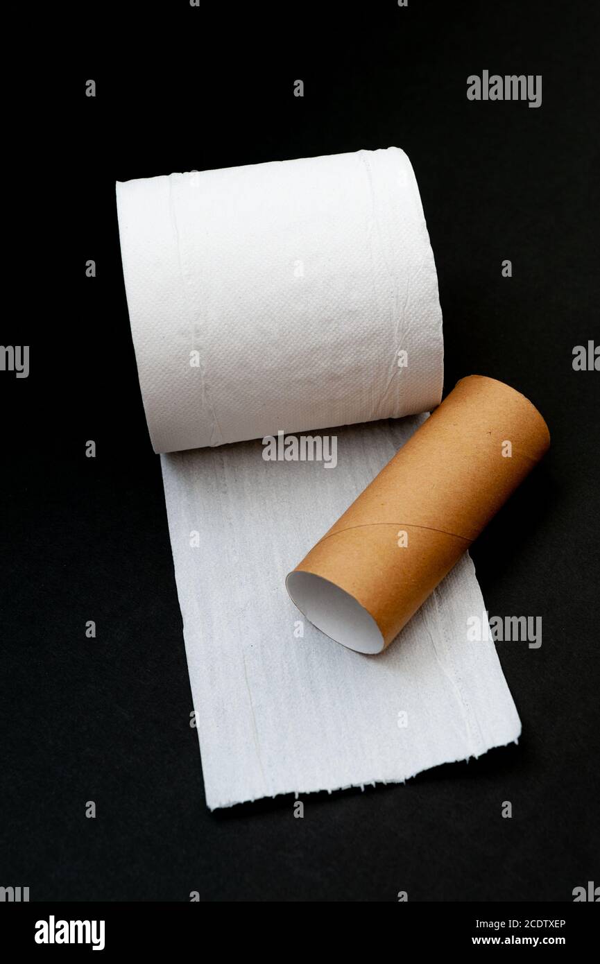 Single roll of unrolled white toilet paper and paper core tube