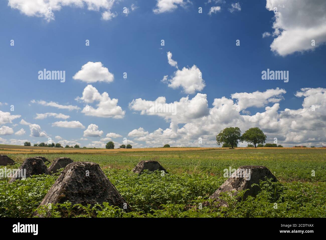 Stone tank barriers, Westwall, WWII Stock Photo