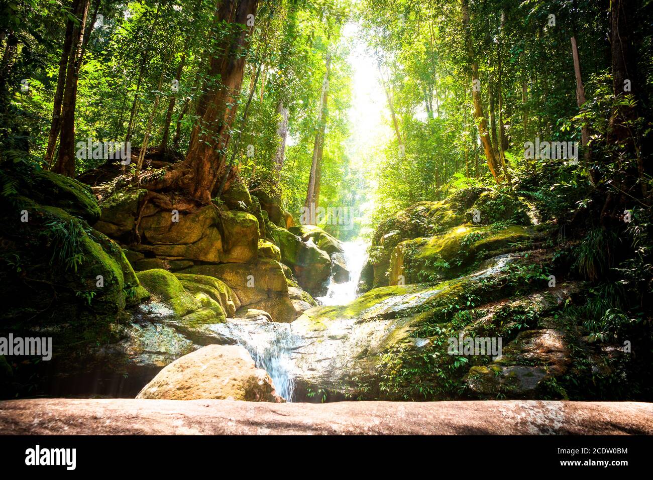 Trekking in the jungle of Sarawak on Borneo with small waterfall Stock Photo