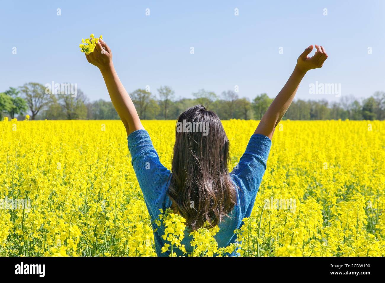 Happy woman arms up in yellow field of flowers Stock Photo