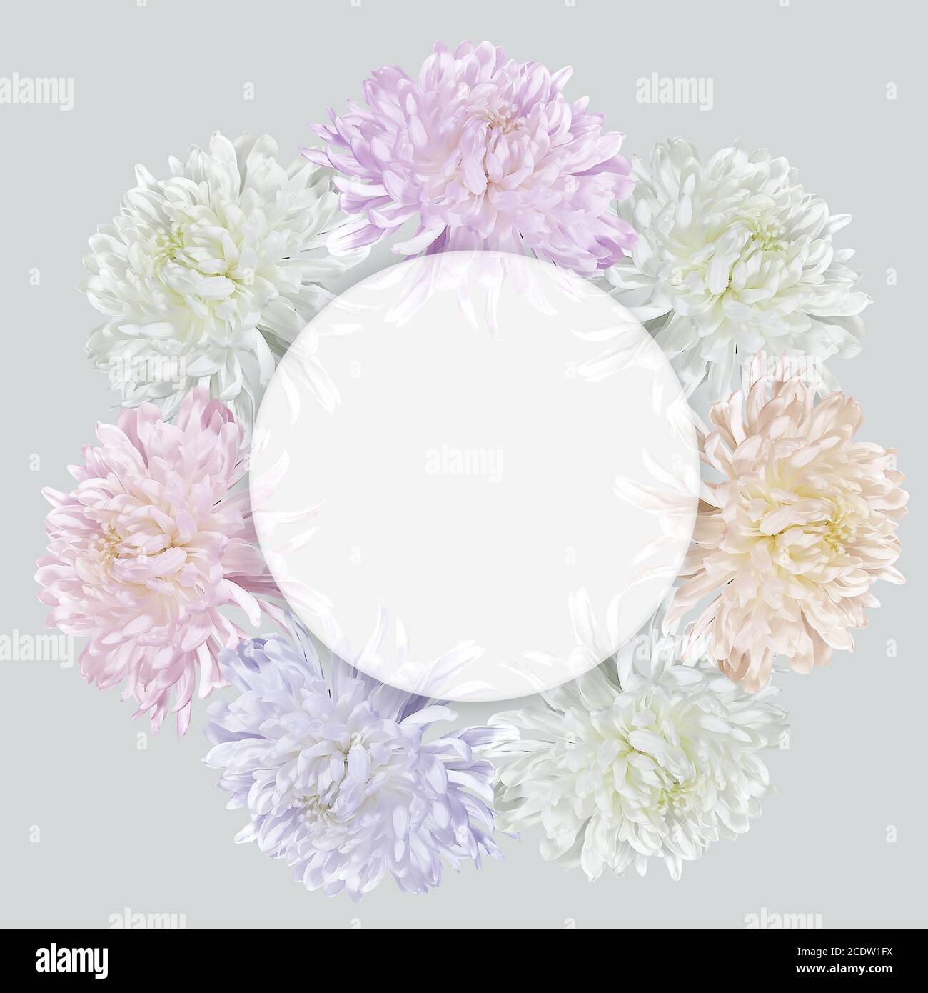 Floral round frame with colorful chrysanthemums and space for text Stock Photo