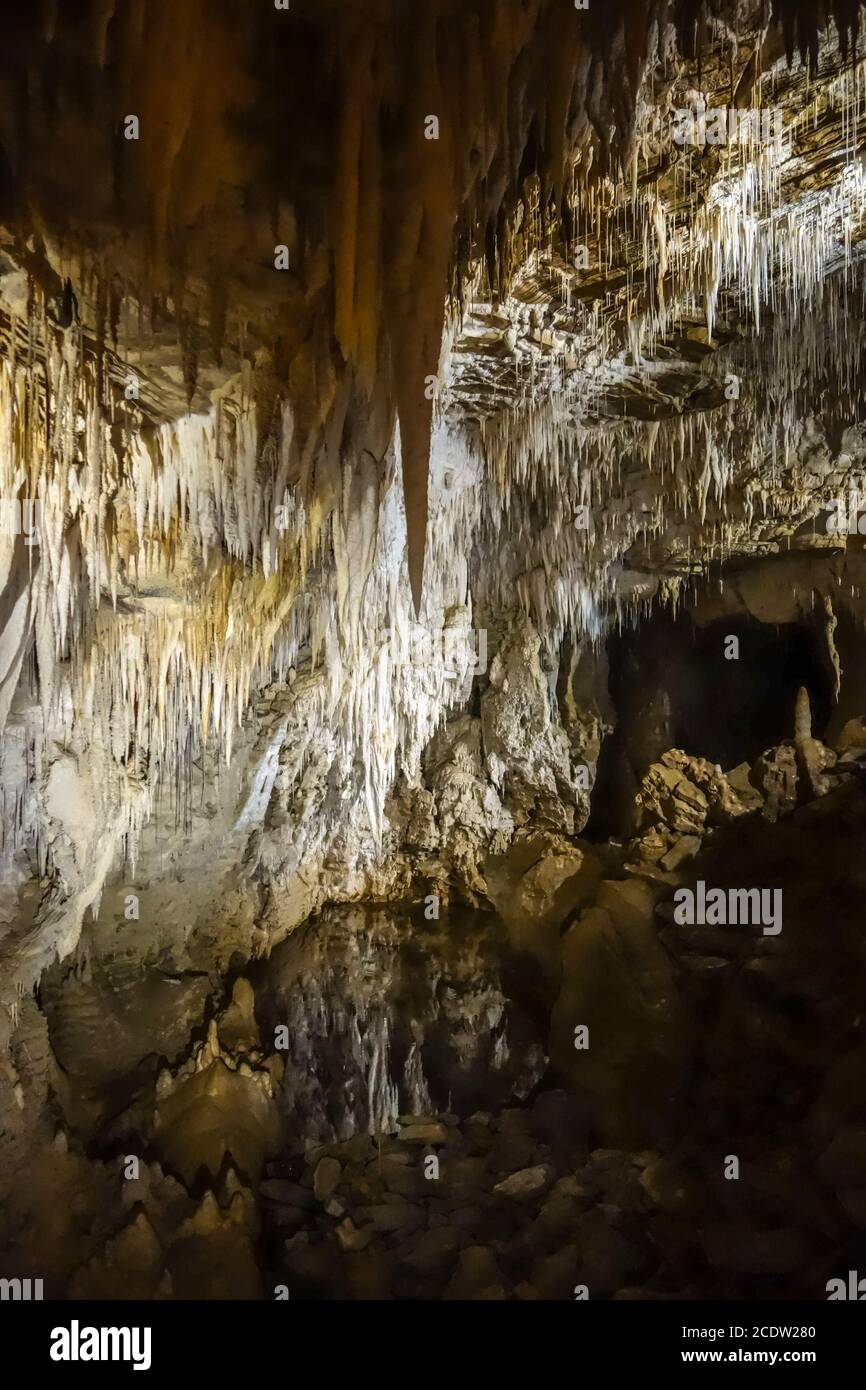 Waitomo glowworm caves, New Zealand Stock Photo