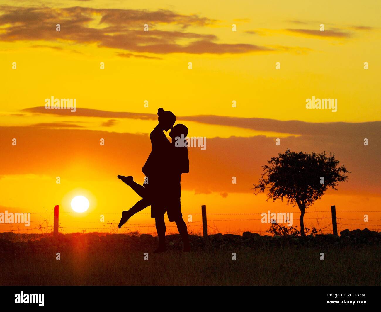 Romantic couple on countryside at the sunset with the sun and one tree ...