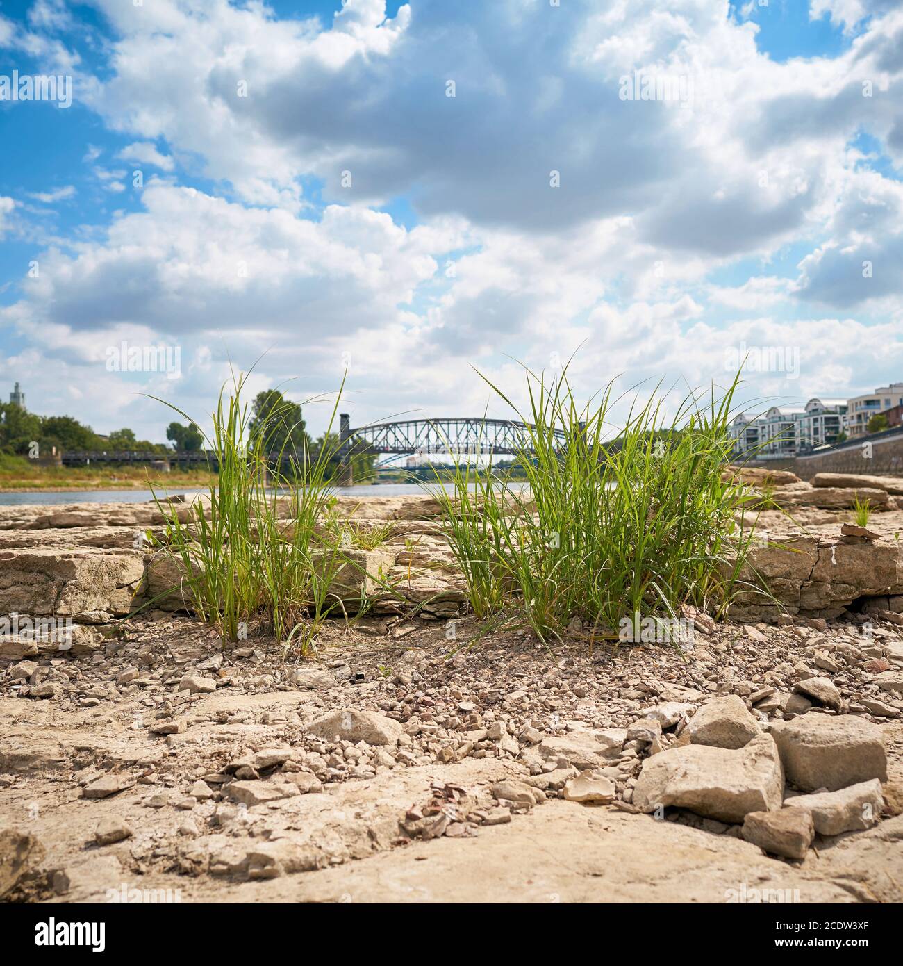 Dried out river bed of the Elbe near Magdeburg with the Cathedral-Rock Stock Photo