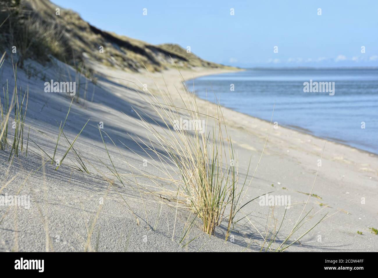 East coast flood hi-res stock photography and images - Alamy