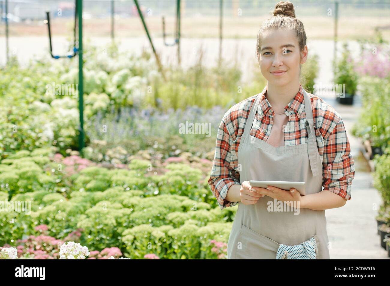 Young confident female worker of hothouse in apron using digital tablet Stock Photo
