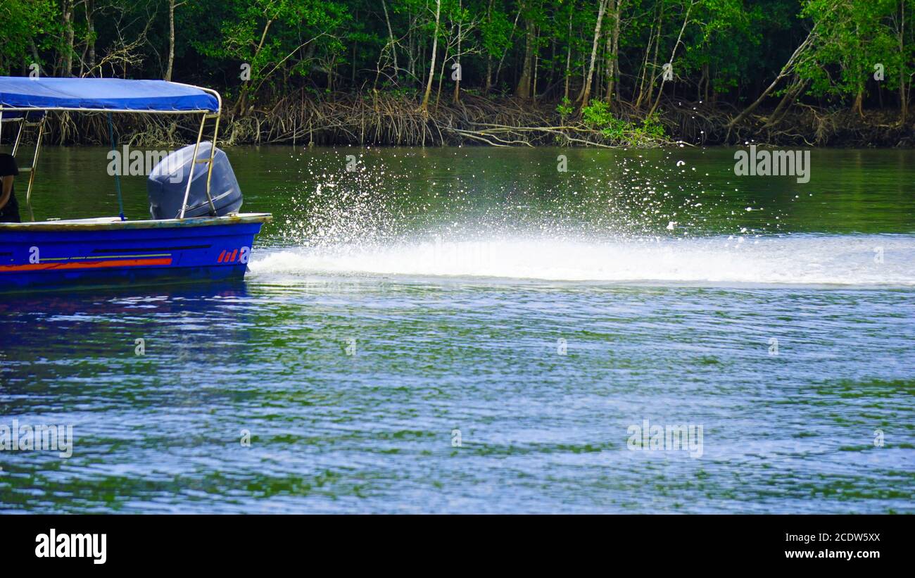 A blue motor boat drizzling water through a lake surrounded with mangrove forest in Langkawi, Malaysia for eagle feeding as a part of mangrove tour. Stock Photo
