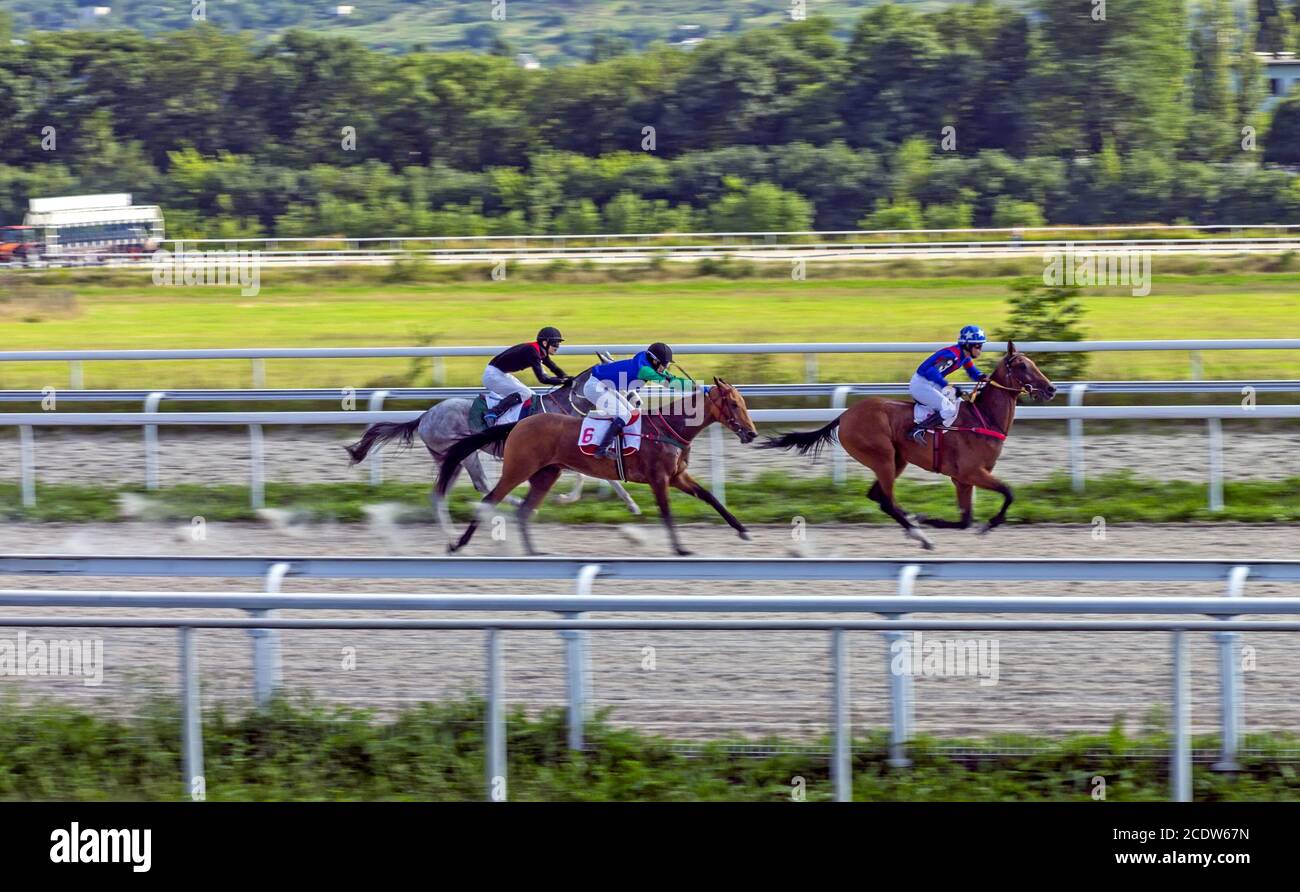 Horse race for the prize Caucas in Pyatigorsk,Northern Caucasus,Russia Stock Photo