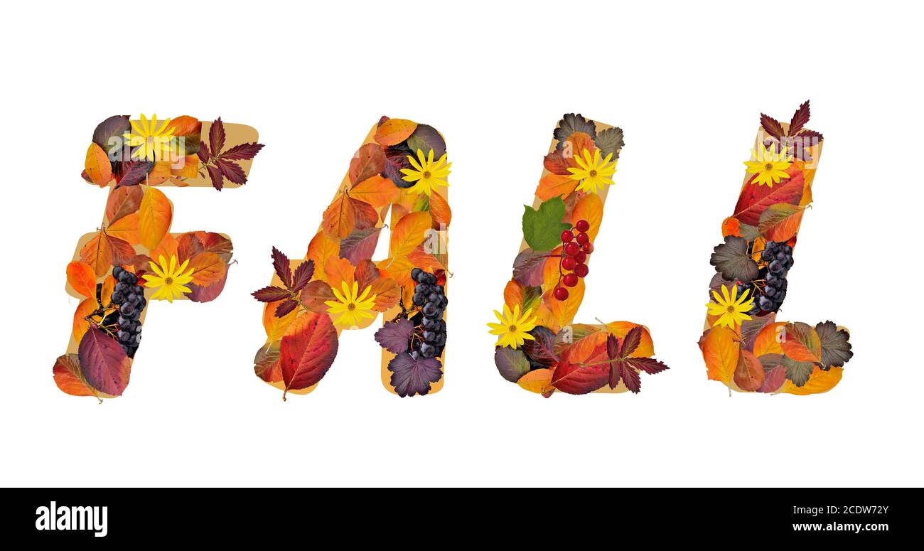 Word Fall composed from bright, colorful autumn leaves and berries Stock Photo
