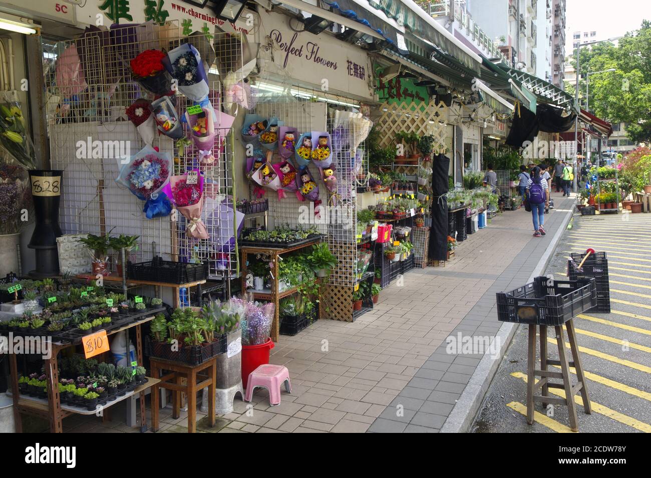 Hong Kong Flower Market In Mong Kok Stock Photo Alamy