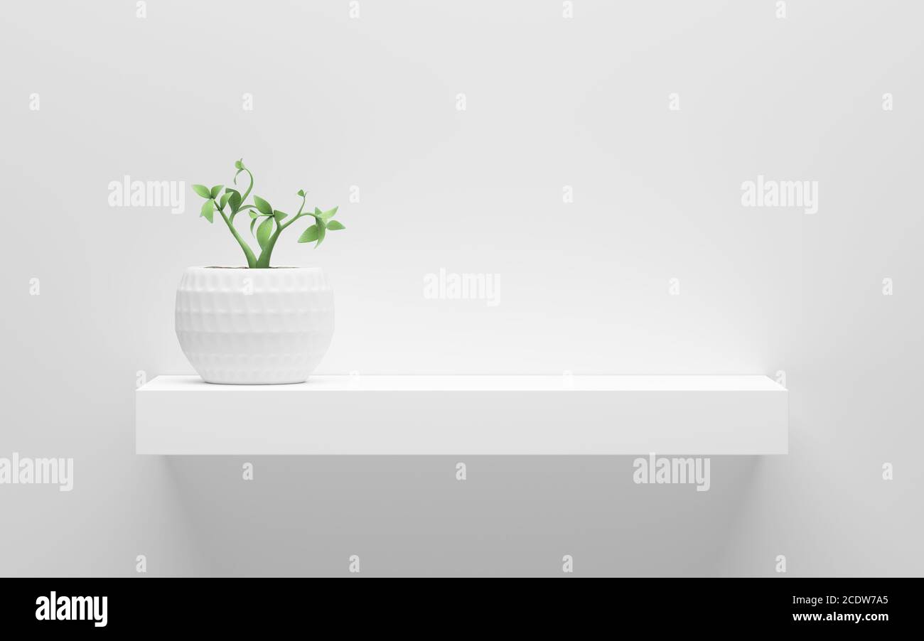 white shelf with green potted plant on wall with light from the top ...