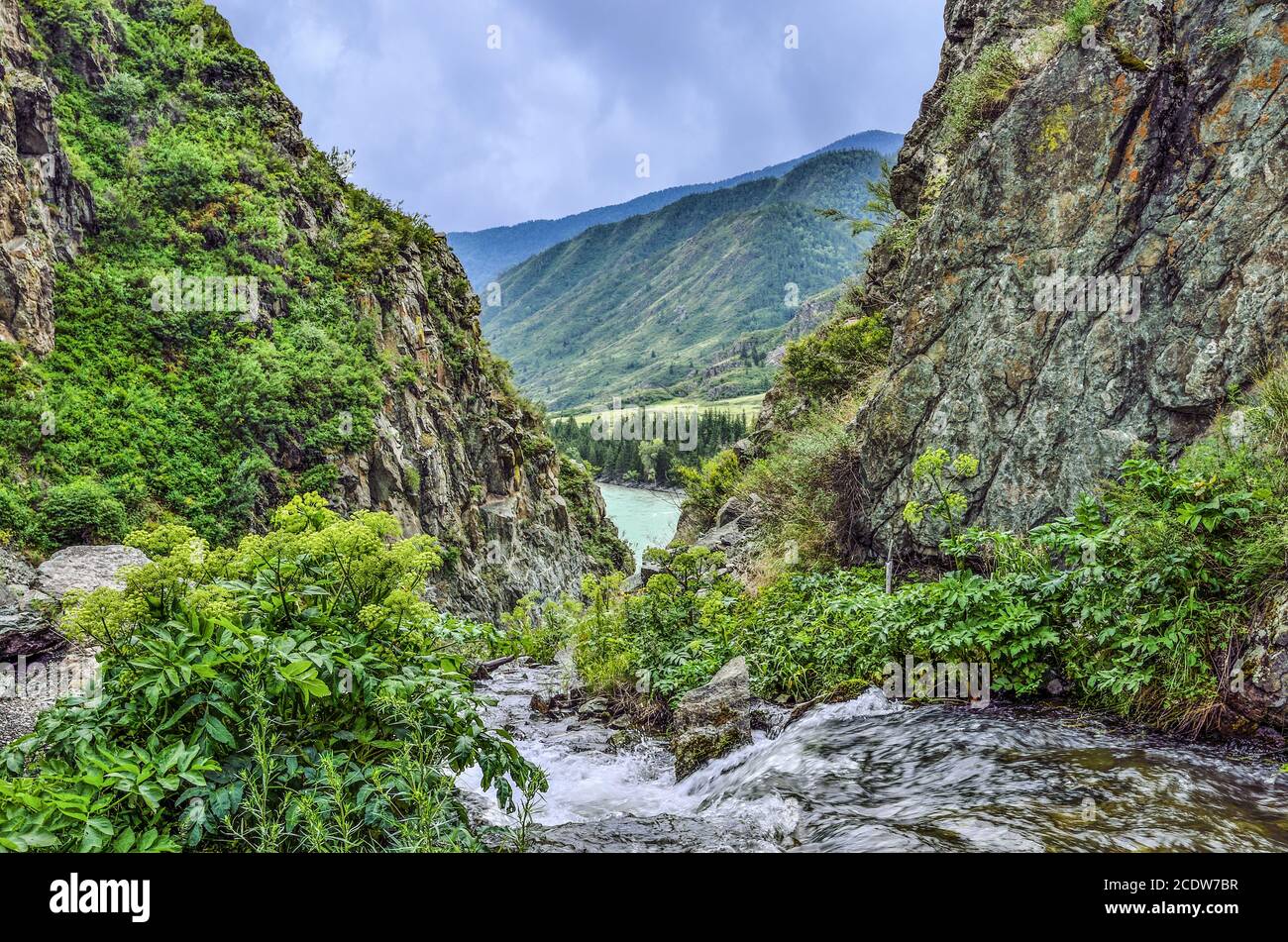 Mountain creek flowing under cliffs of canyon into the Katun River in Altai mountains, Russia Stock Photo