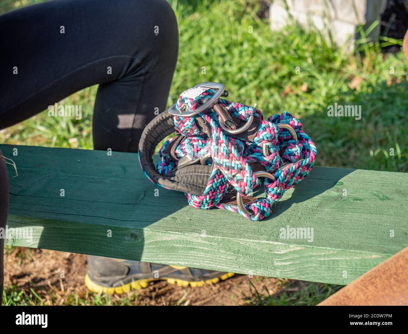 The time competition for the connection of a horse halter. Small horse