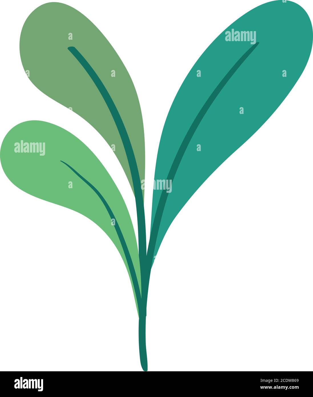 Isolated green leaves vector design Stock Vector Image & Art - Alamy