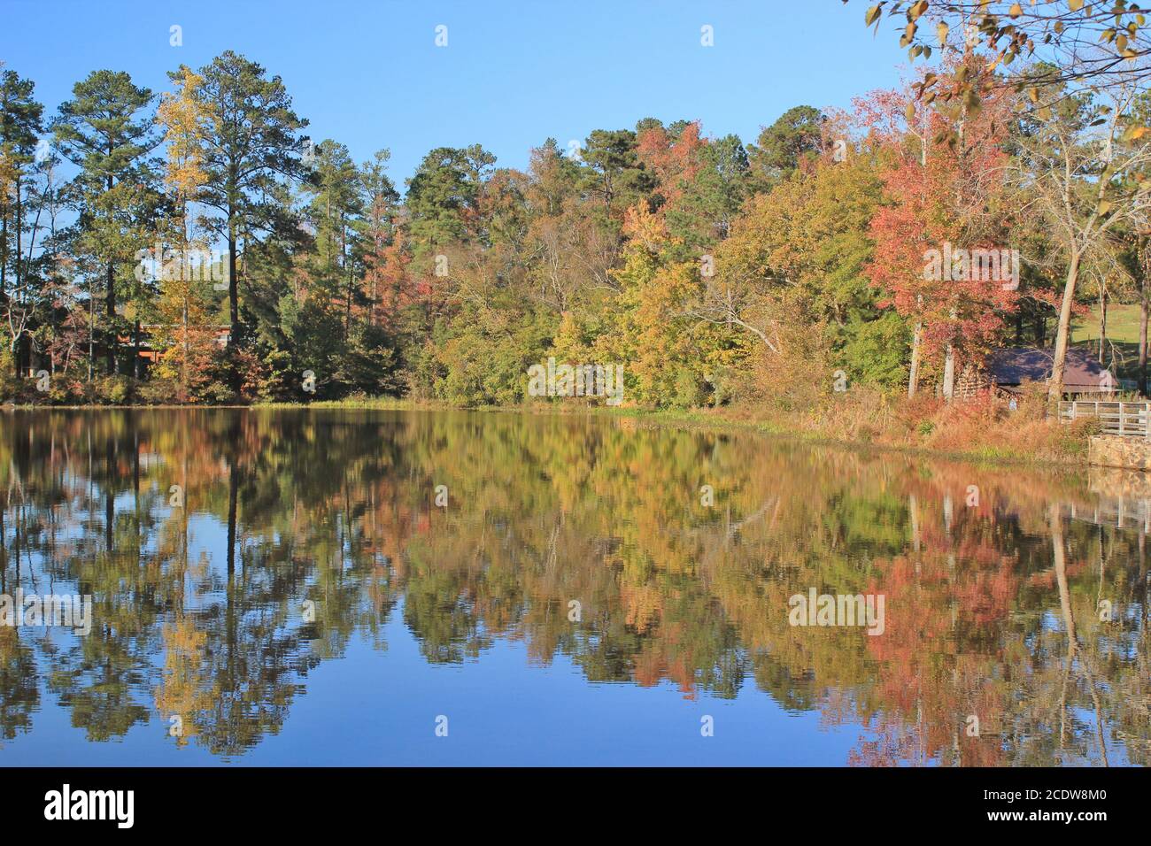 Lake surrounded by trees turning colors in the Fall Stock Photo - Alamy
