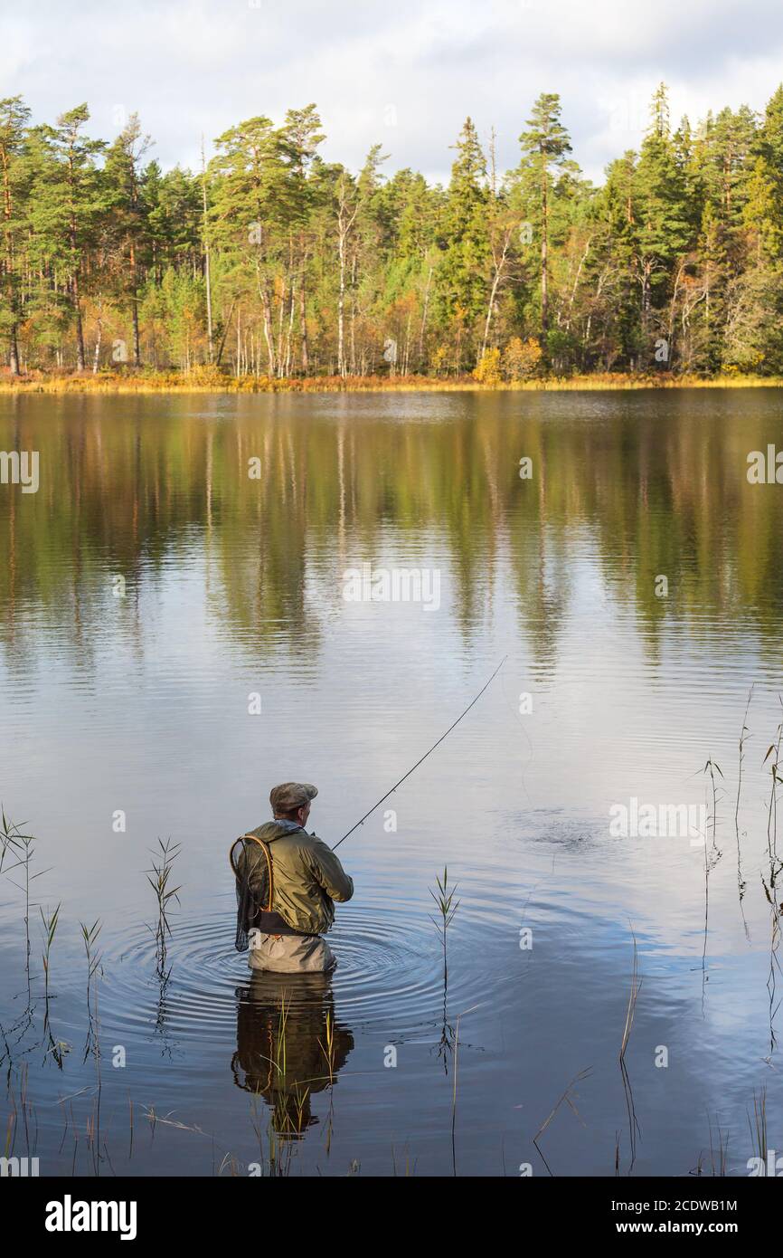 Fly fishing in Forest Lake Stock Photo