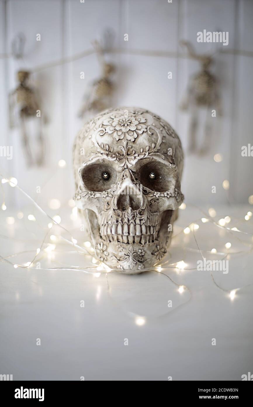 Scary skull with lights Stock Photo