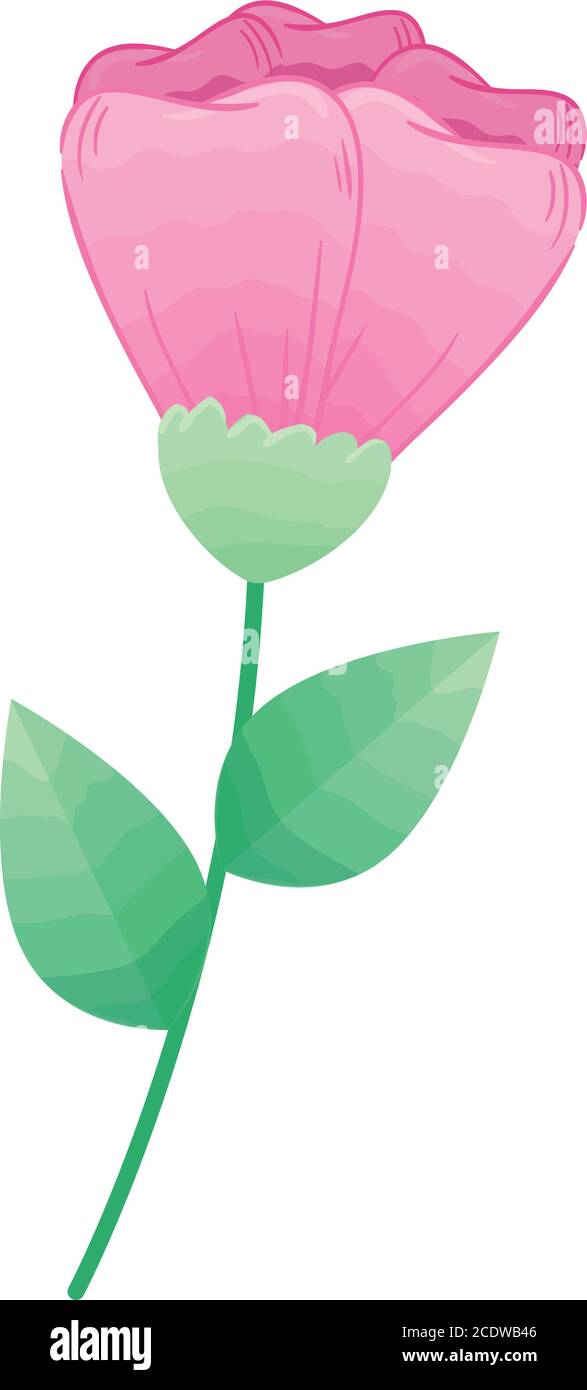 pink flower with leaves vector design Stock Vector Image & Art - Alamy