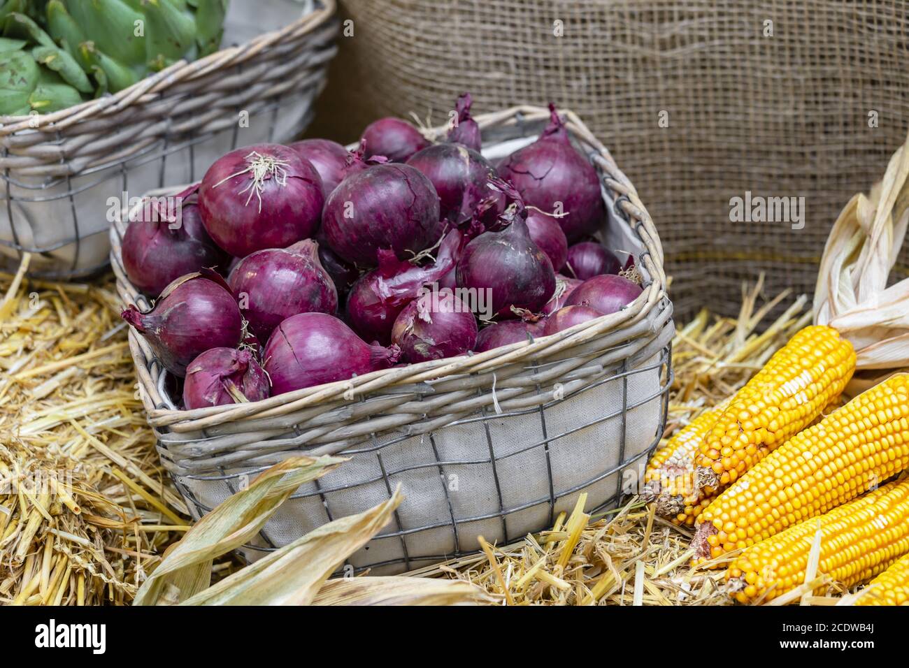 Market stall with red onions in the basket and with corncobs on straw Stock Photo