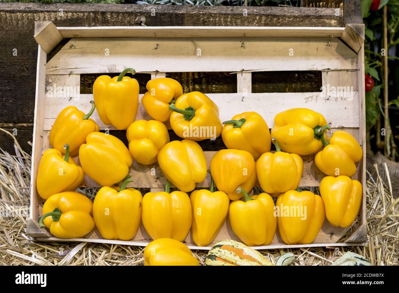 Market stall with yellow peppers in a wooden staircase Stock Photo - Alamy