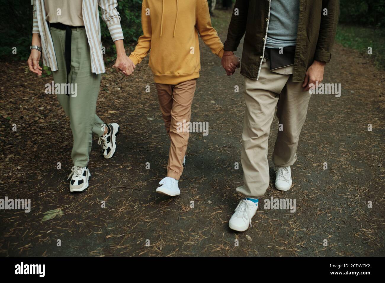 Low section of contemporary family holding by hands while walking in forest Stock Photo