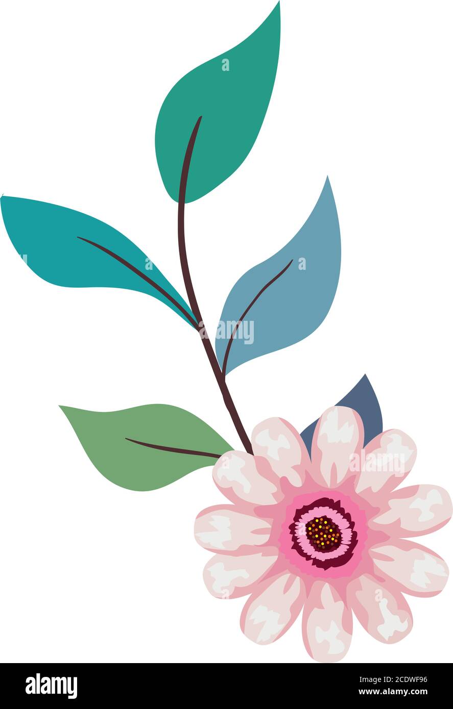 pink flower drawing with leaves vector design Stock Vector Image & Art ...
