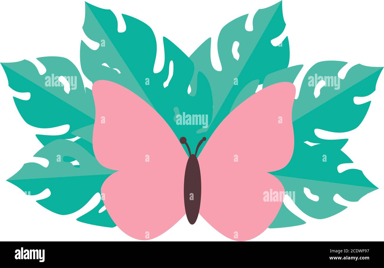 cute butterfly with leaves vector design Stock Vector Image & Art - Alamy