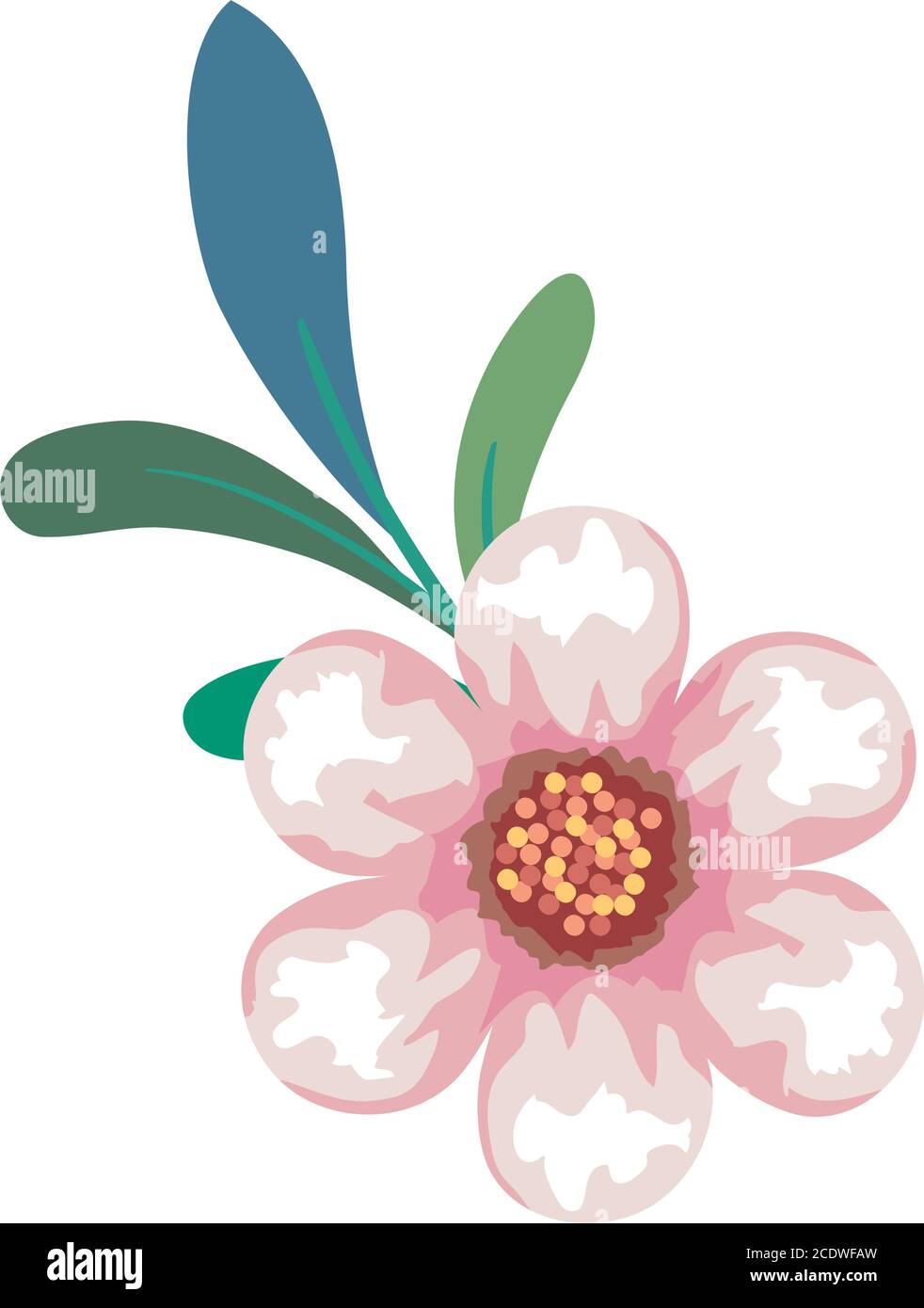 pink flower drawing with leaves vector design Stock Vector Image & Art ...