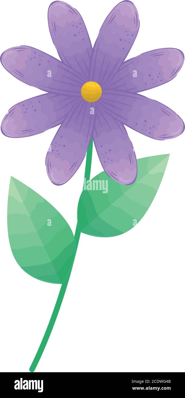 purple flower with leaves vector design Stock Vector Image & Art - Alamy