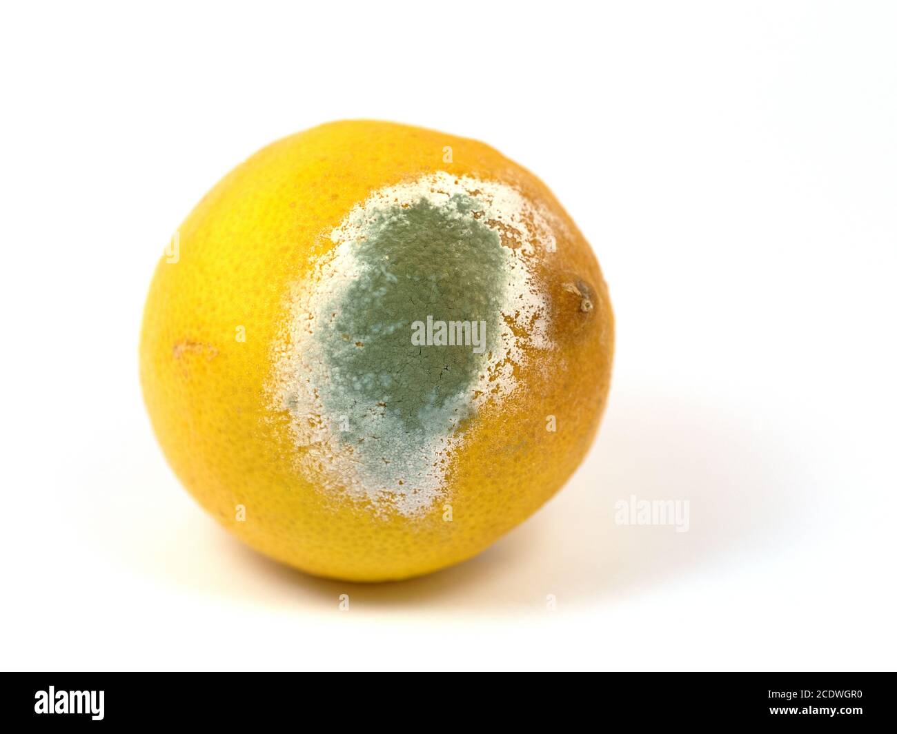 Moldy fruit hires stock photography and images Alamy