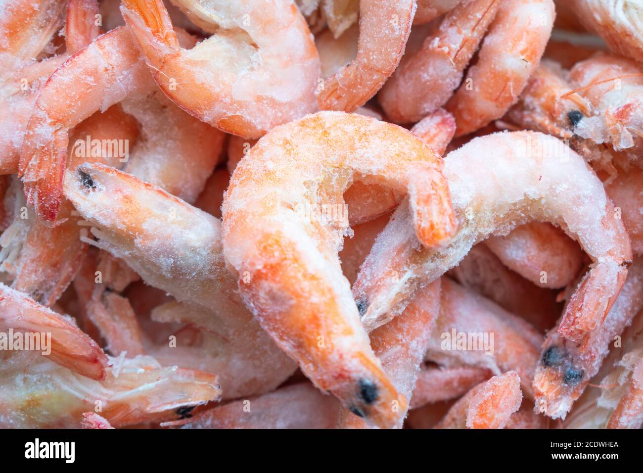 Frozen big shrimps close up. Raw frozen shrimp background. Pile of