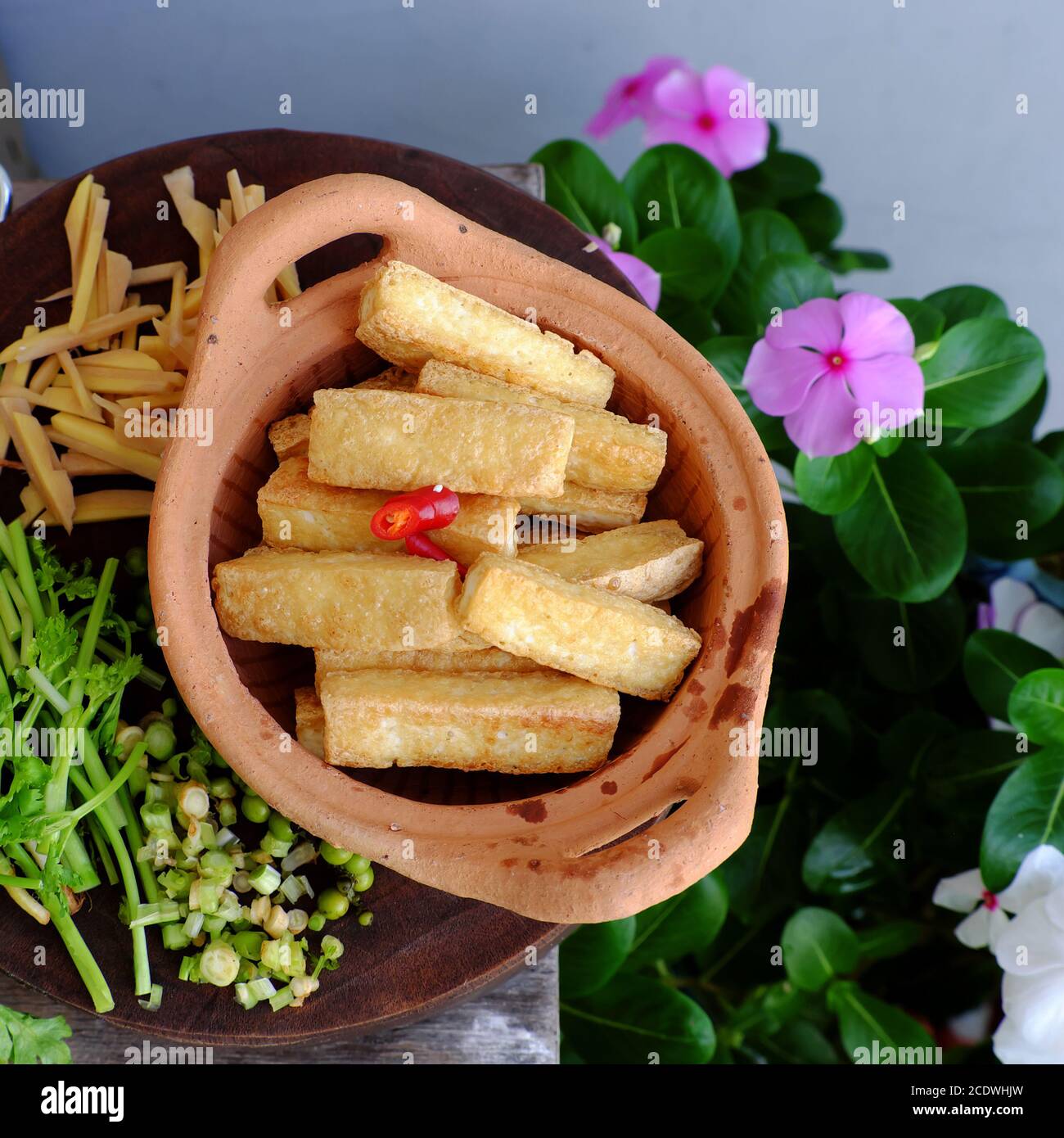 Top view sliced fried tofu with spice as ginger, pepper, cilantro for simple homemade vegan food Stock Photo