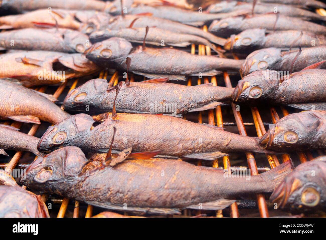 Smoked fish. Smoke. Hot Smoked fish meat. Smoked fish. Perch. Smoked fish background texture. Stock Photo