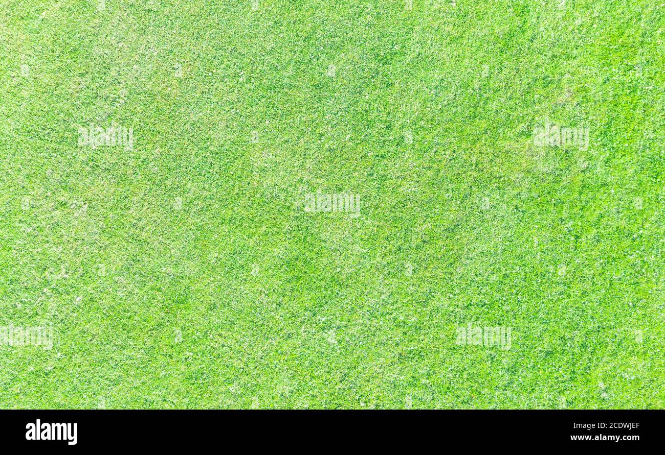 Top view of green fresh summer lawn. Aerial view from the drone. Green grass pattern and texture. Green lawn Stock Photo